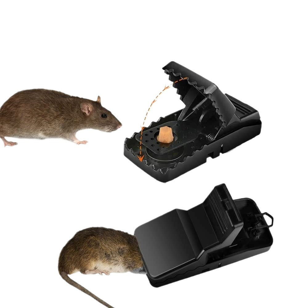 Reusable Mouse Trap