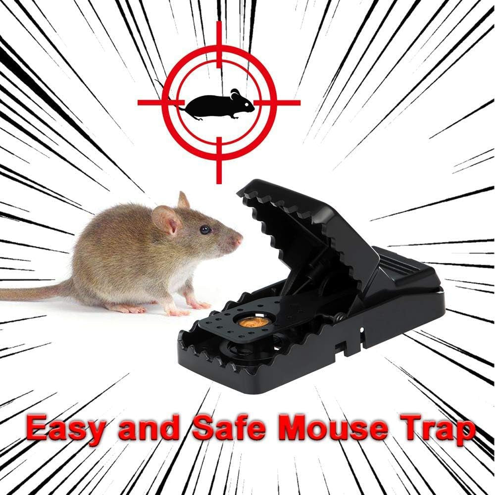 Reusable Mouse Trap