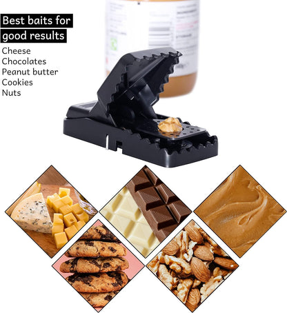 Reusable Mouse Trap