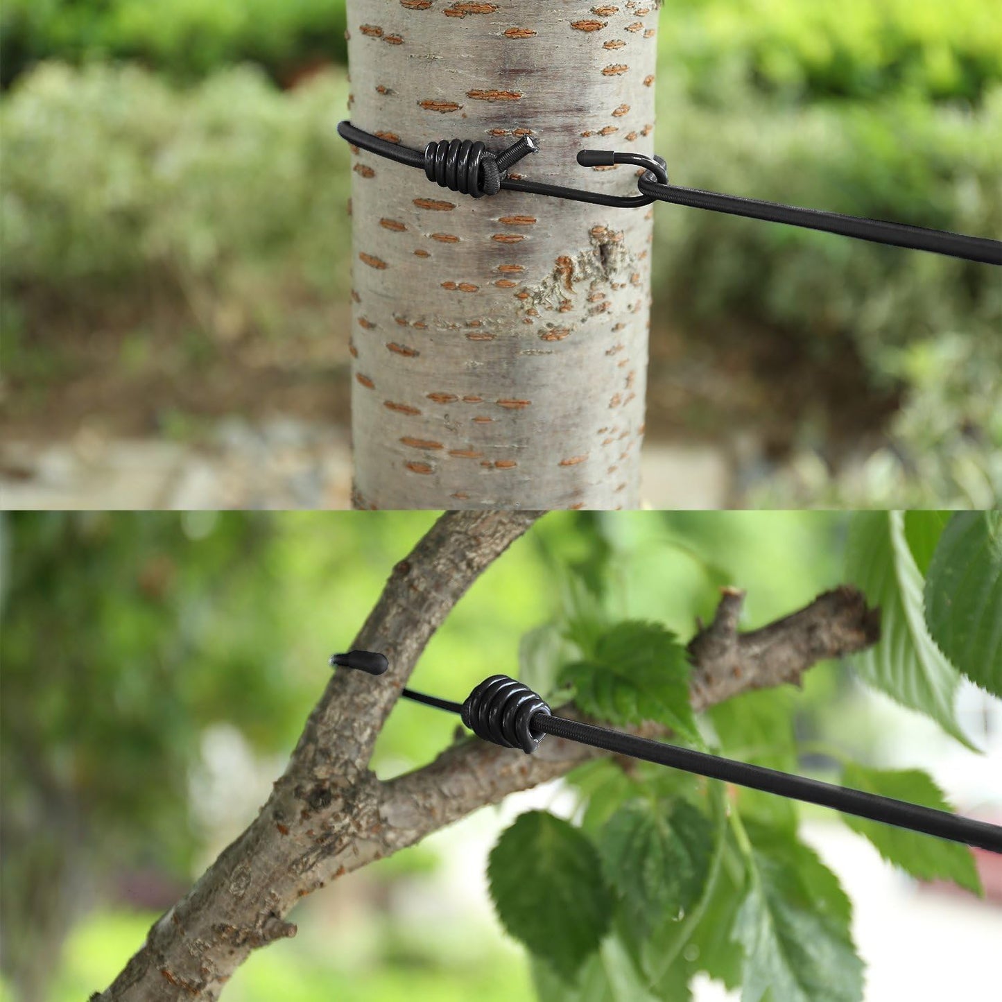 Elastic Clothesline Rope with Clips